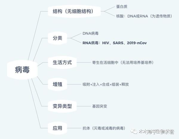 最新病毒總結(jié)報(bào)告，全面梳理與分析病毒動(dòng)態(tài)