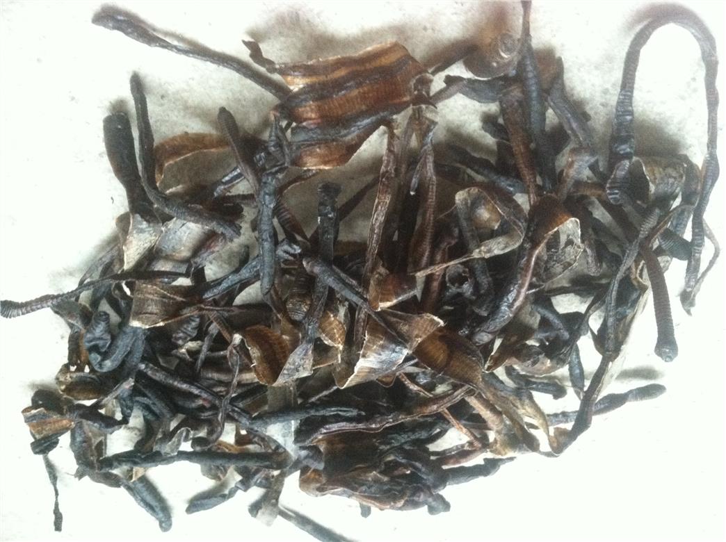 最新地龍器，科技重塑生活，未來觸手可及體驗升級